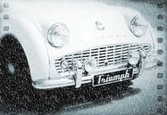 Triumph in the Snow van Nicky`s Prints thumbnail