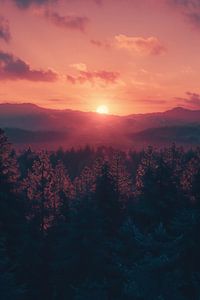 Sonnenaufgang über idyllischen Hügeln