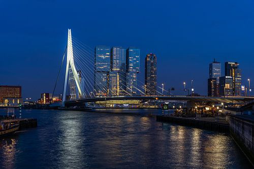 Rotterdam, Erasmusbrücke bei Nacht.