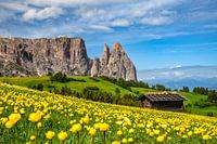 Seiser Alm Südtirol