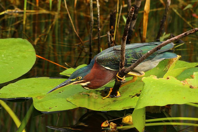 Engelsgeduld -  I Can Wait Patiently von Christiane Schulze