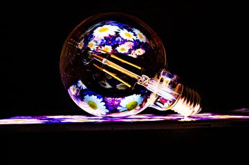 Art with Light Bulb