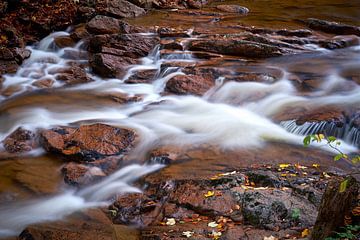 Der Fluss Ilse im Nationalpark Harz