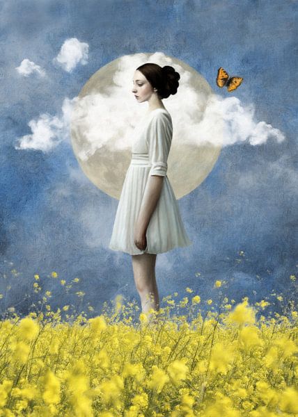 In Fields of Yellow by Marja van den Hurk