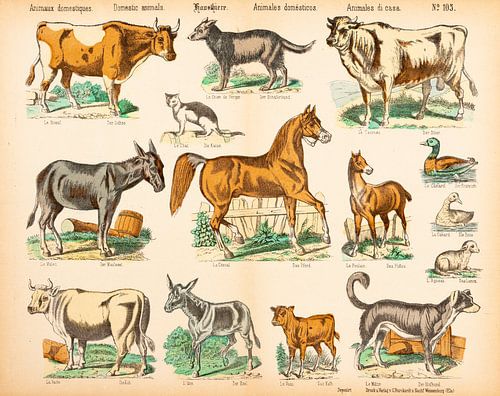 Antique plate with farm animals