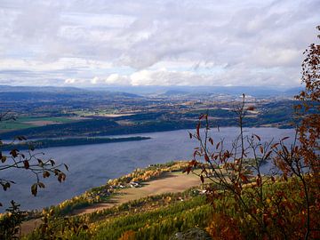 Uitzicht op het Steinsfjorden van Judith van Wijk