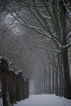 Der Rhythmus des Winters