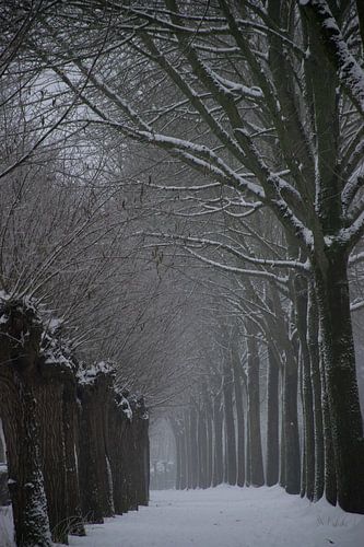 Ritme van de Winter van Ingrid de Vos - Boom