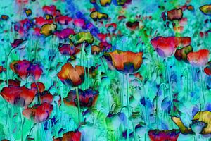colored poppies van Yvonne Blokland