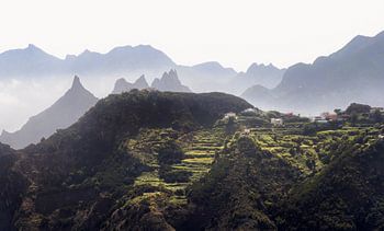 Entdecken Sie den Weiler Taborno in Anaga, Teneriffa – inmitten der atemberaubenden Landschaft d'
