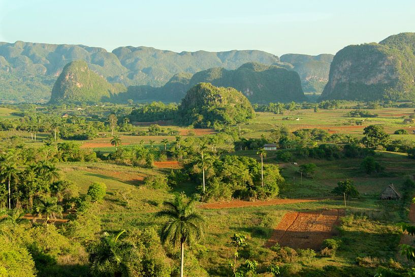 Vallei Vinales Cuba par Davide Indaco