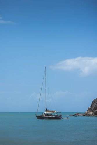 Magnetic Island: Een Tropische Oase in Queensland