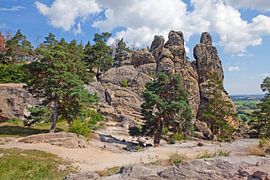 Het wapenschild van Hamburg - deel van de Duivelsmuur in Saksen-Anhalt