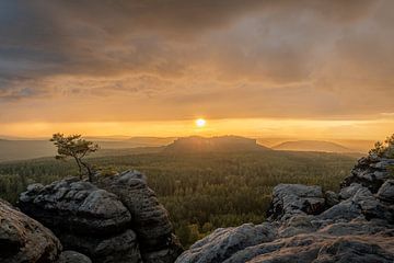 Light show above the Elbe Sandstone: Golden rain at Pfaffenstein