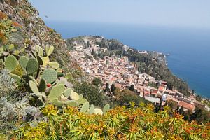 Kakteen an einem Berghang, Stadtansicht, Altstadt mit Teatro Antico Greco, Taormina, Provinz Messina