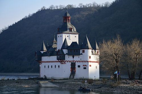 Burg Pfalzgrafenstein