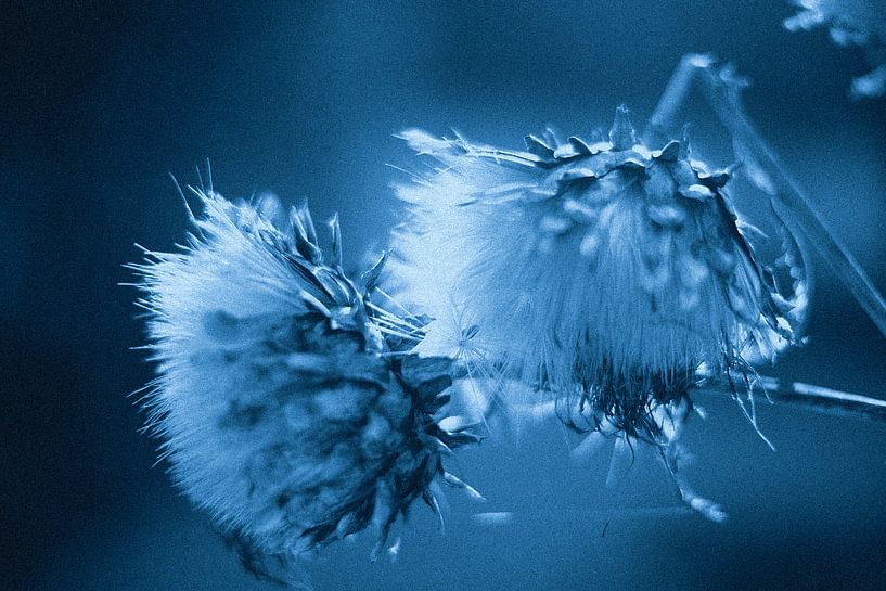 Natürlich knusprig braun von True Color Stories
