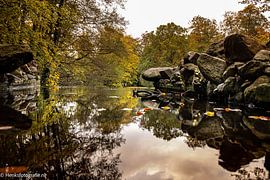 Herbst von Henk Veenstra