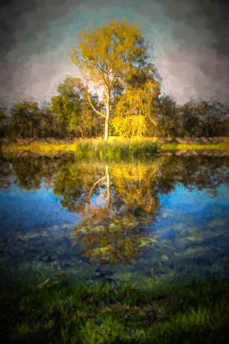 Reflectie van natuur in een meer