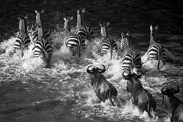 Zebra Crossing van Marijn Heuts