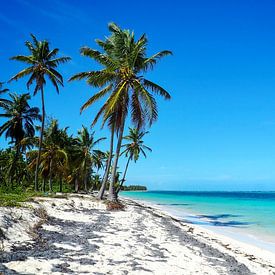 Karibikbilder zählen zu den beliebtesten Motiven für Wandbilder und Fine-Art-Prints. Die Region begeistert mit kristallklarem Wasser, weißen Stränden, einzigartigen Farbstimmungen und tropischer Natur. von Miriam Schwarzfischer Fotografie