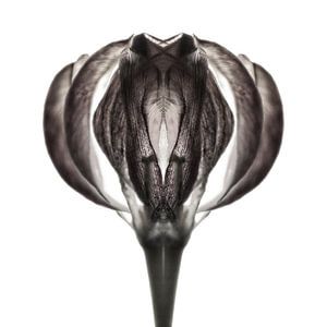 Künstliche Blume