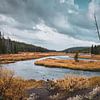 De prachtige natuur van Yellowstone met uitkijk op de Snake River van Maarten Oerlemans