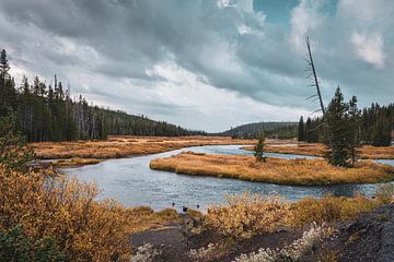Die wunderschöne Natur des Yellowstone mit Blick auf den Snake River