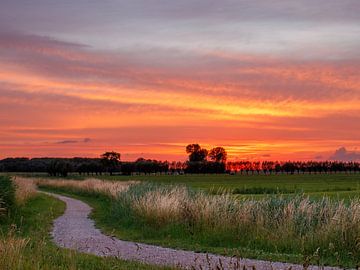 Zonsondergang in de polder van Frank Adelaar