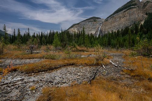 Les chutes de Takakkaw aux couleurs de l'automne