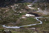 Alpenweide