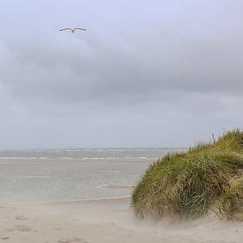strand, Texel,rust in het hoofd ,uitwaaien,golven. van judy-fotografie