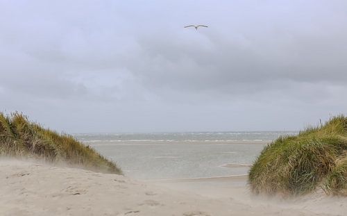 strand, Texel,rust in het hoofd ,uitwaaien,golven.