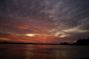 Waal bij zonsondergang van Piet van Rijswijk