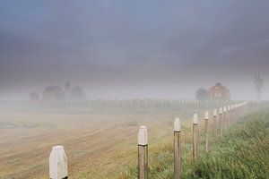 Misty Schokland