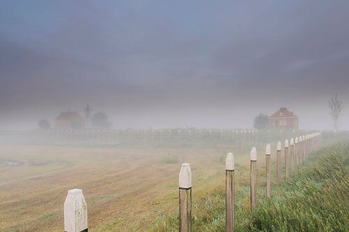 Mistig Schokland