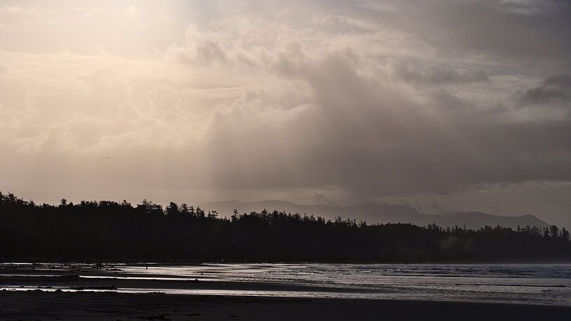 Ochtendzon op Long Beach van Timon Schneider