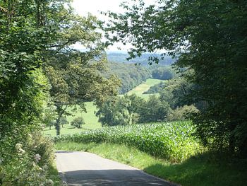 Schilderachtige foto ardennen