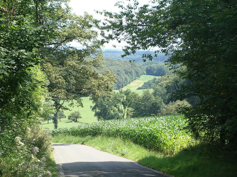 Schilderachtige foto ardennen by David Van der Cruyssen