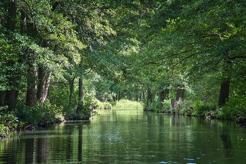 Idyllisch riviertje in het Spreewald met weerspiegelingen in het heldere water