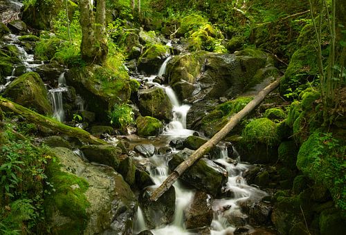 Todtnau watervallen in het Zwarte Woud