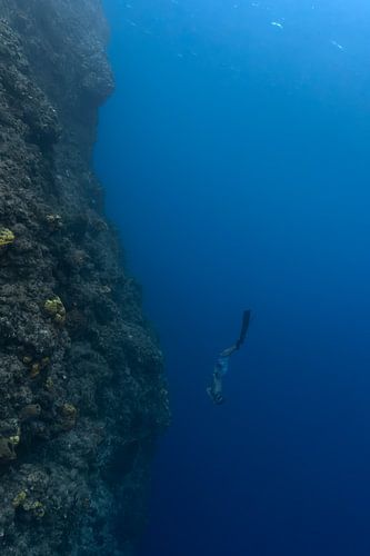 Freediver - In den Abgrund