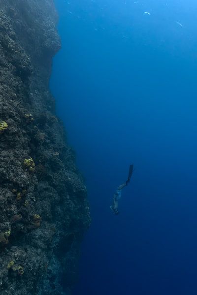 Freediver - In den Abgrund von Lieke Post | Peeks Below