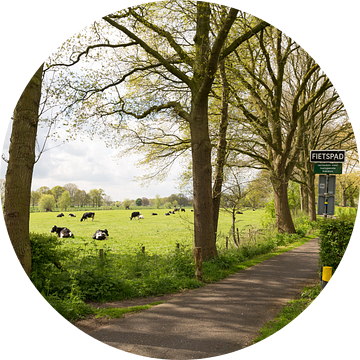 Voorjaar langs de Kromme Rijn