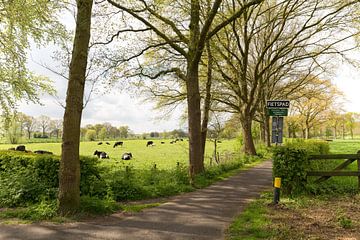 Voorjaar langs de Kromme Rijn van Marijke van Eijkeren