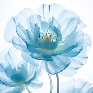 Blaue Blume von Bert Nijholt