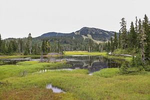 Bergmeer op Vancouver Island