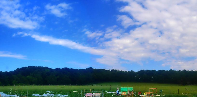 Hertensky par Edgar Schermaul