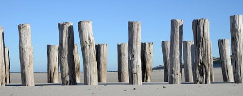 Wellenbrecher am Strand bei Domburg