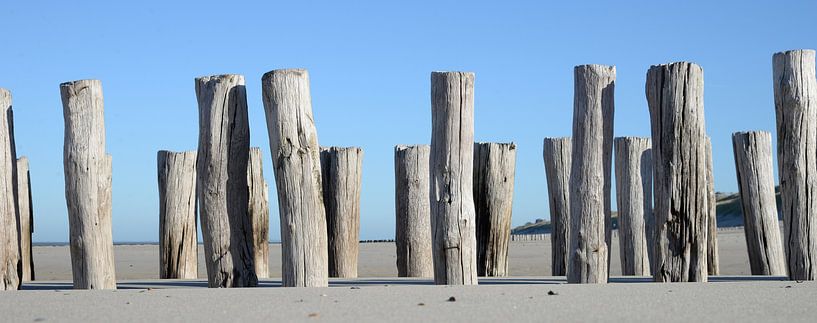 Wellenbrecher am Strand bei Domburg von Rini Kools